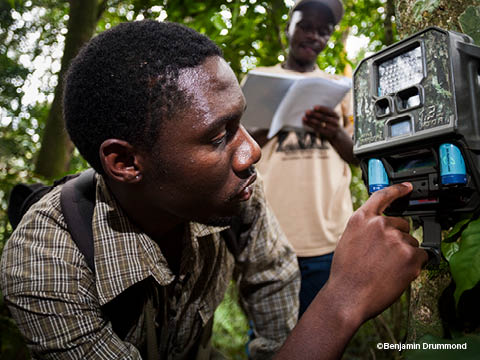 How Big Data is helping environmental&nbsp;conservation